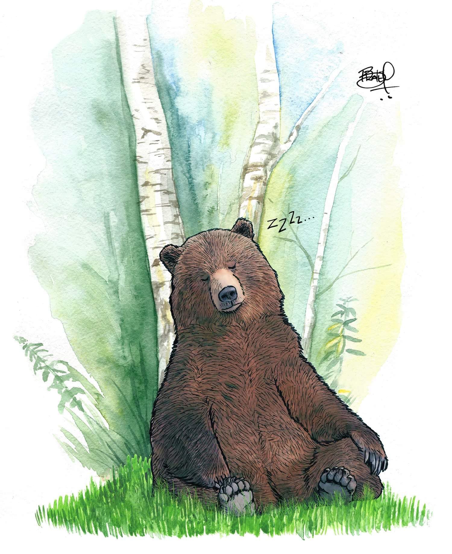 BearNecessity_189_2048x.jpg?v=