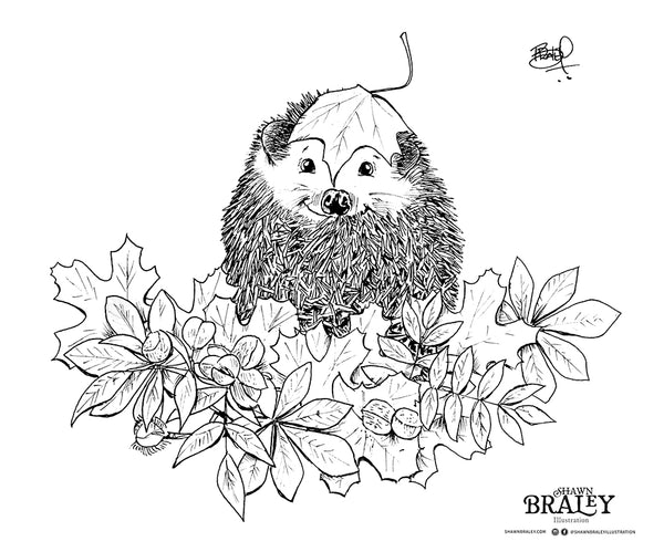 Hedgy coloring page